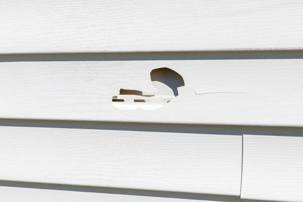 Storm Damage Siding Repair in Lynwood, CA